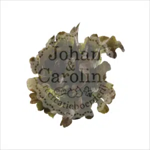 Eikenbladsla Johan en Caroline