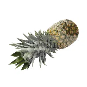 Ananas Johan en Caroline