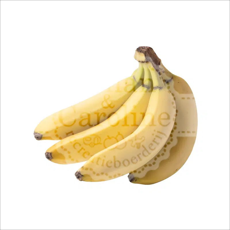 Banaan Johan en Caroline