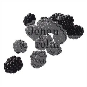 Braam Johan en Caroline