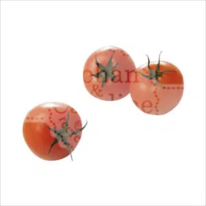 C Tomaten Johan en Caroline