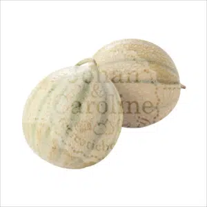 Cantaloupe meloen Johan en Caroline