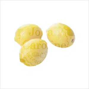 Citroen Johan en Caroline