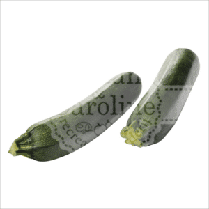 Courgette Johan en Caroline