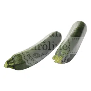 Courgette Johan en Caroline