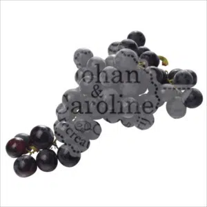 Druif blauw Johan en Caroline