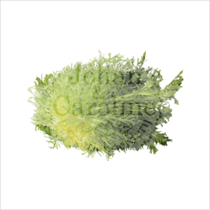 Frisée sla Johan en Caroline