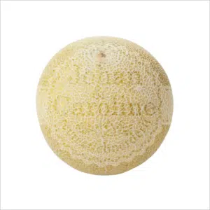 Galia meloen Johan en Caroline