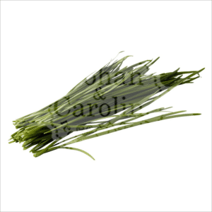 Knoflook bieslook Johan en Caroline