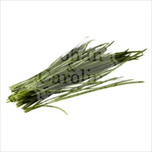 Knoflook bieslook Johan en Caroline