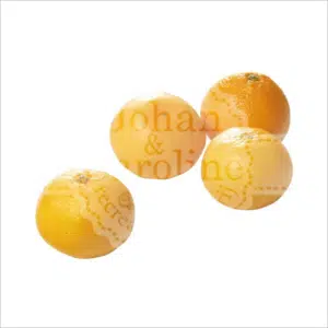 Mandarijn Johan en Caroline