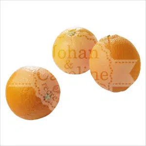 Navelsinaasappel Johan en Caroline