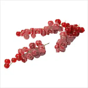 Rode bes Johan en Caroline