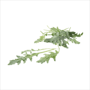 Rucola sla Johan en Caroline