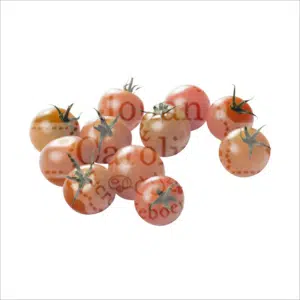 Tomaten los Johan en Caroline