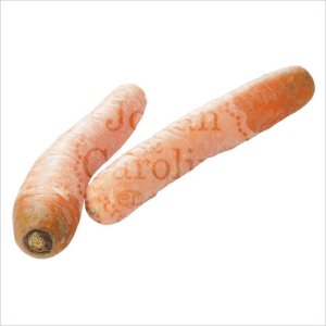 Winterpeen Johan en Caroline